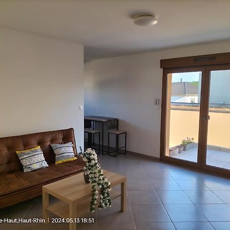Apartment Einliegerwohnung Hagenthal-le-Haut 外观 照片