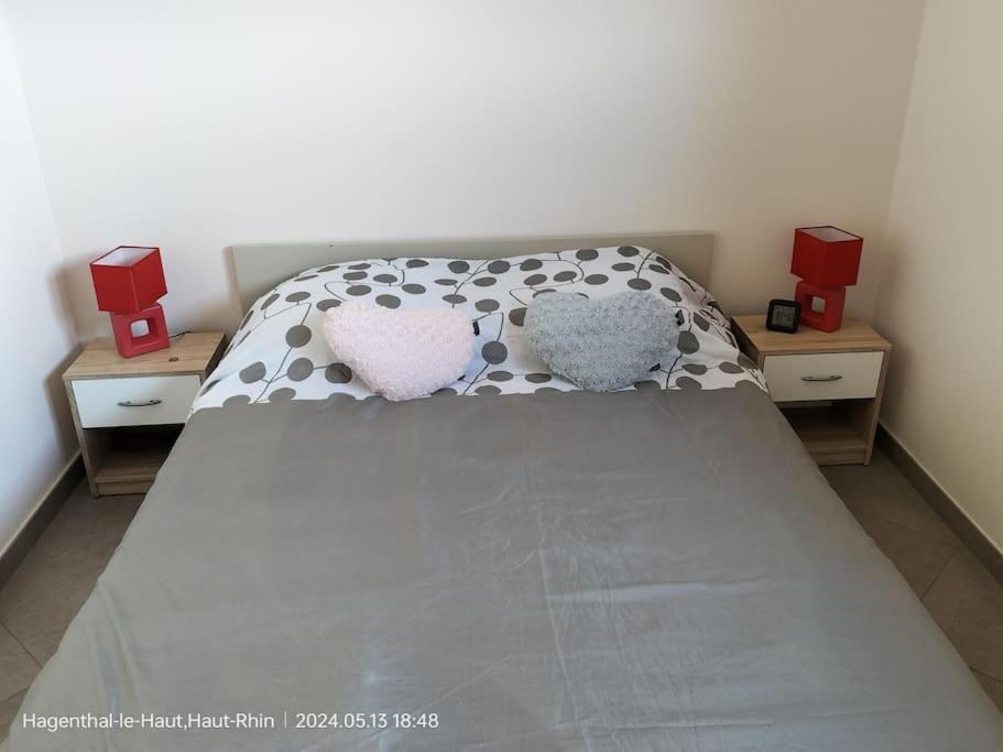 Apartment Einliegerwohnung Hagenthal-le-Haut 外观 照片