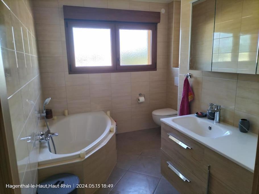 Apartment Einliegerwohnung Hagenthal-le-Haut 外观 照片