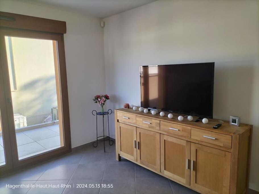 Apartment Einliegerwohnung Hagenthal-le-Haut 外观 照片