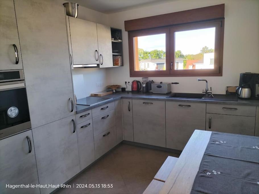 Apartment Einliegerwohnung Hagenthal-le-Haut 外观 照片